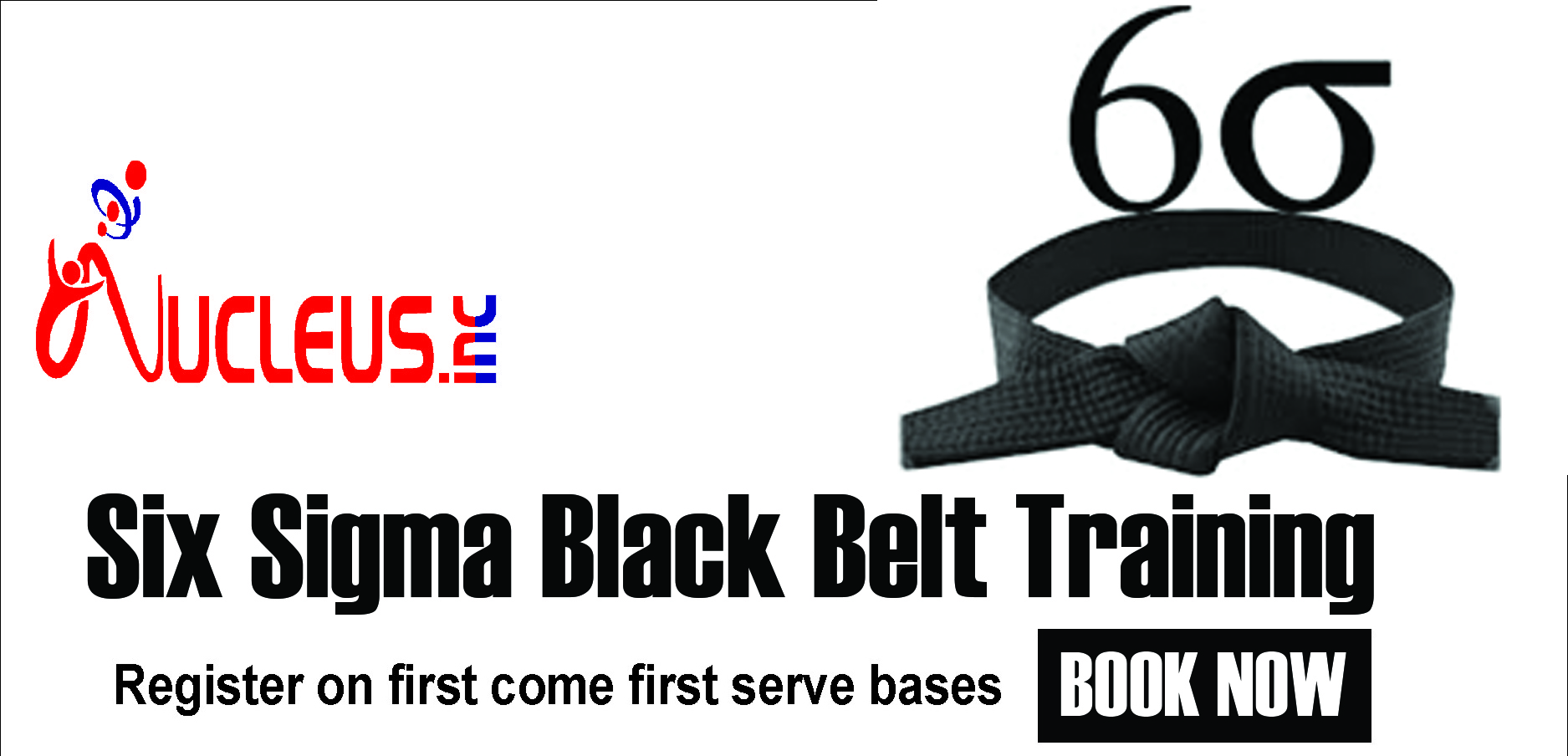 Six Sigma Black Belt